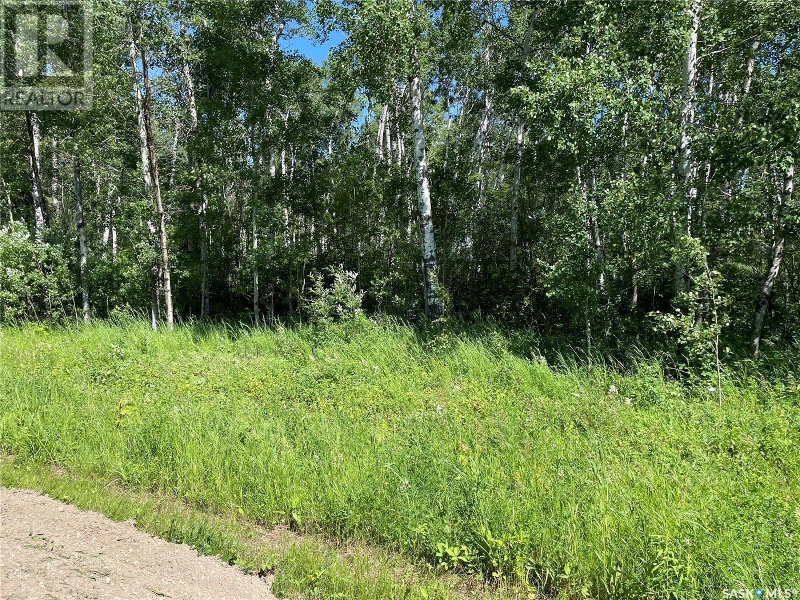 5 Poplar Place, Paddockwood Rm No. 520, SK