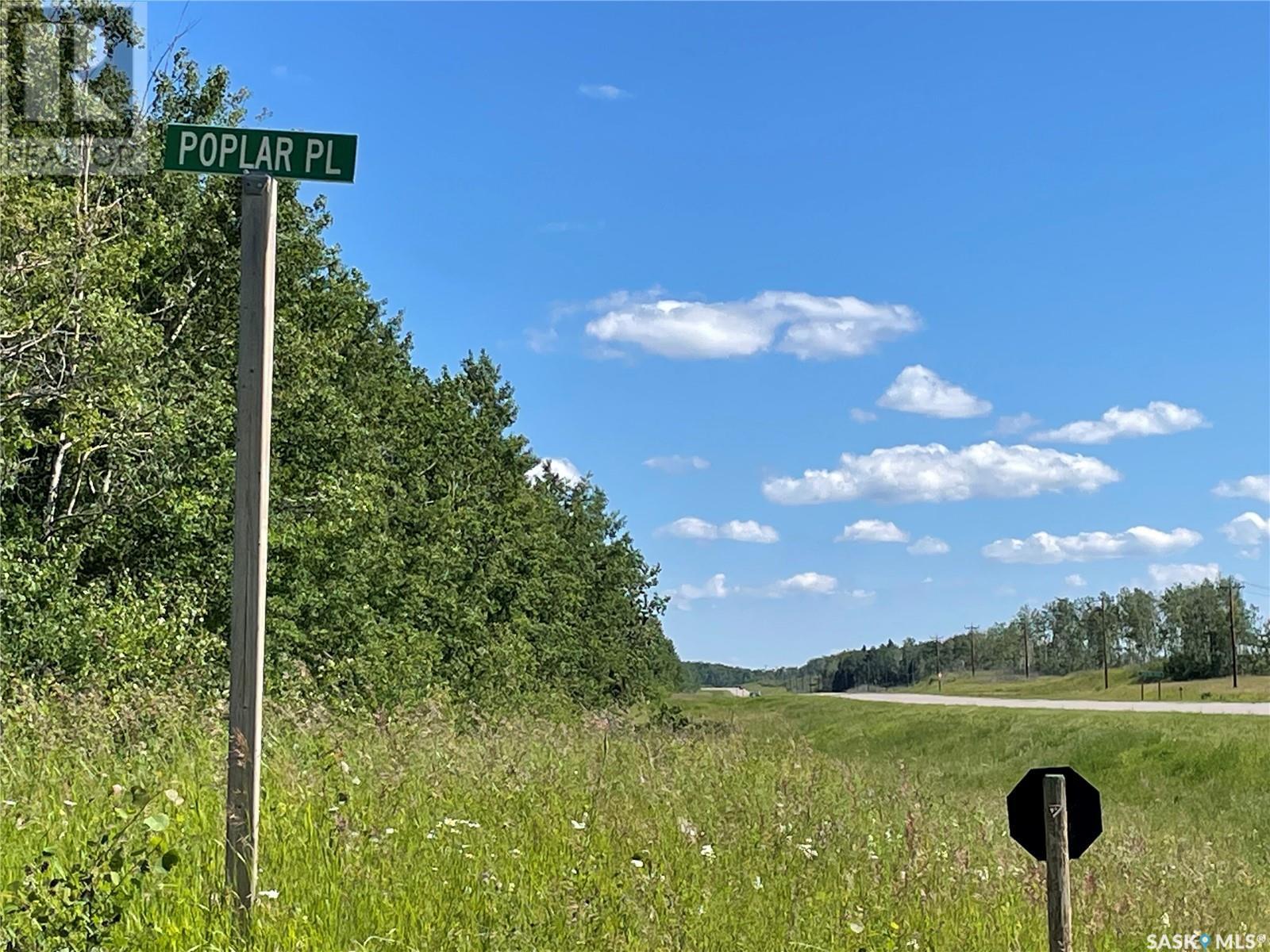 5 Poplar Place, Paddockwood Rm No. 520, SK