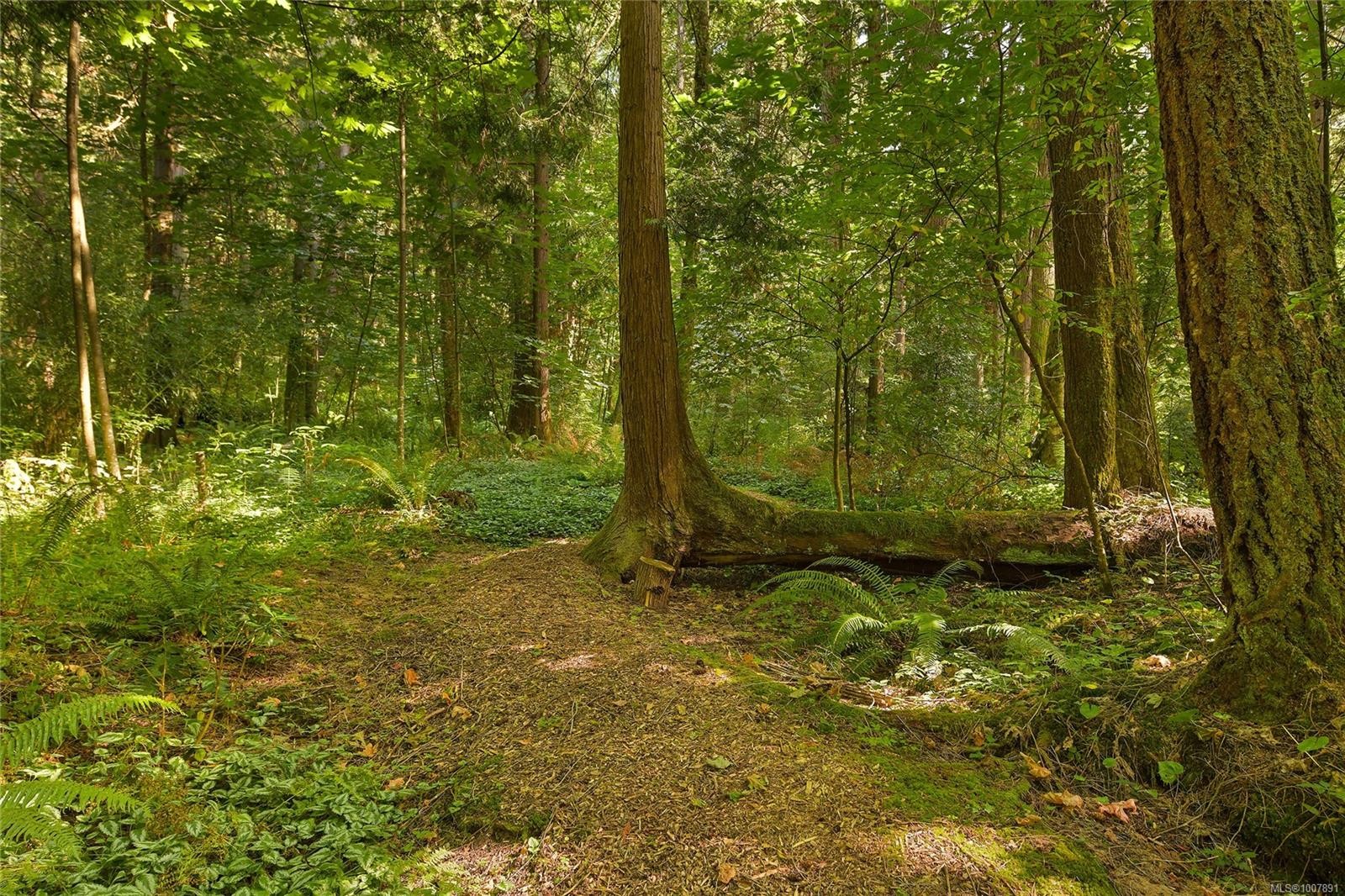 1695 Cultra Ave, Central Saanich, BC