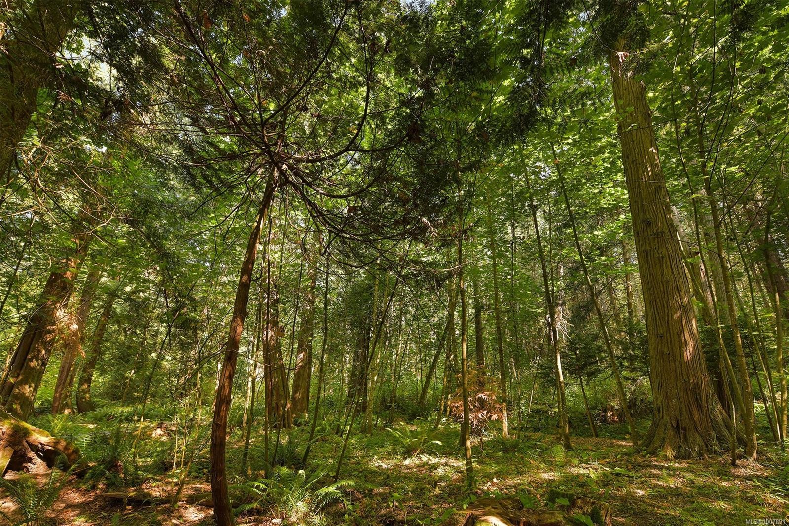 1695 Cultra Ave, Central Saanich, BC