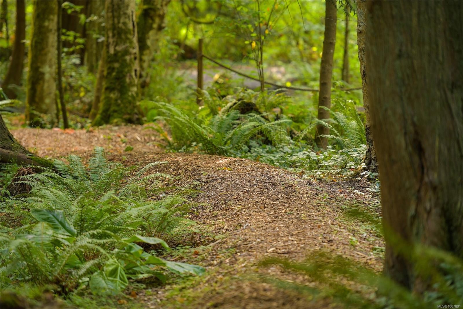 1695 Cultra Ave, Central Saanich, BC