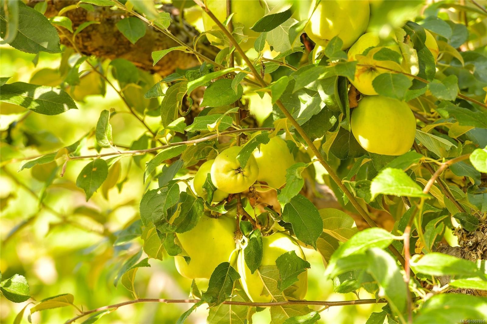 1695 Cultra Ave, Central Saanich, BC