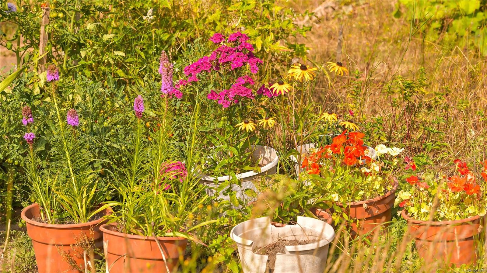 1695 Cultra Ave, Central Saanich, BC