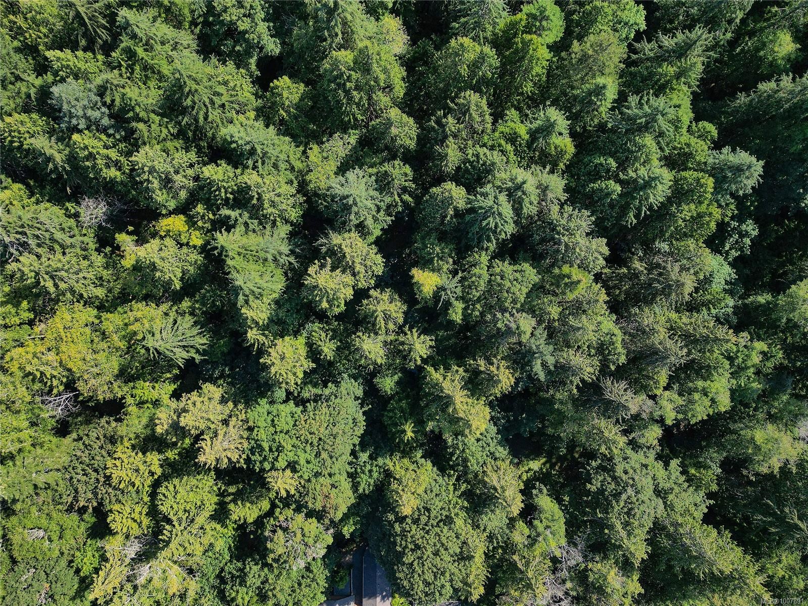 1695 Cultra Ave, Central Saanich, BC