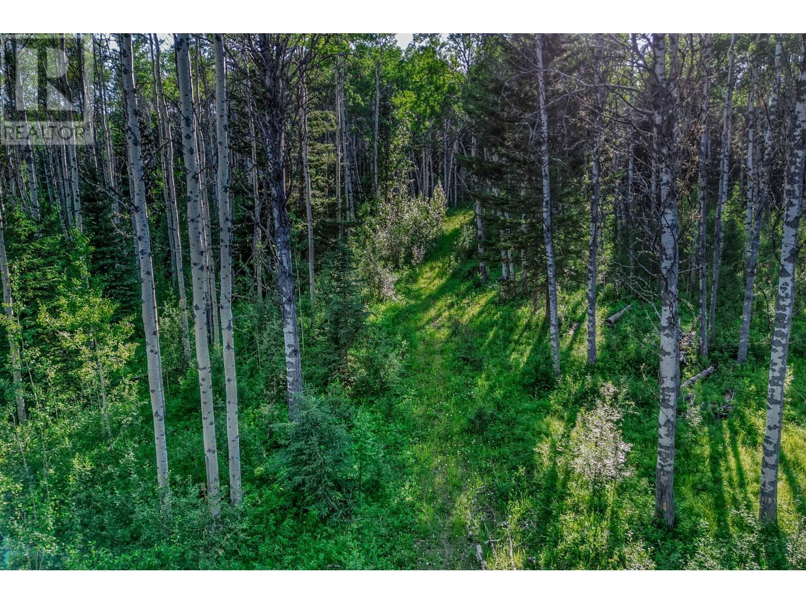 Dl 4274 Bell Road, Bridge Lake, BC