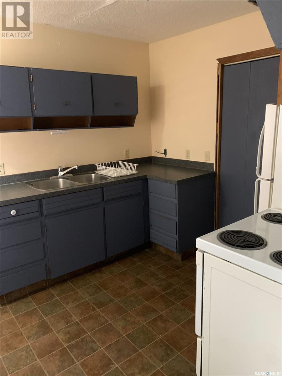 2346 Winnipeg Street, Regina, SK - Indoor Photo Showing Kitchen With Double Sink