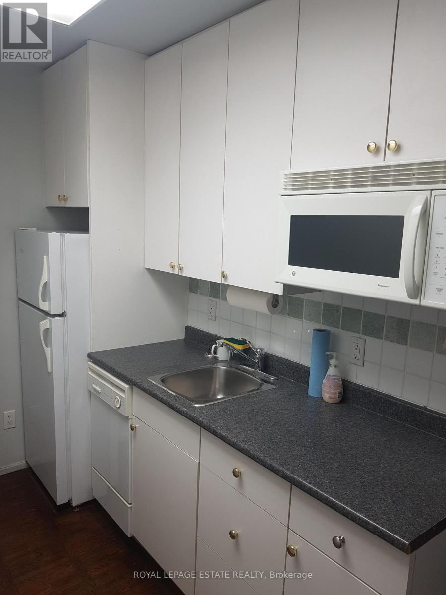 Lower Level - 238 Gerrard Street E, Toronto, ON