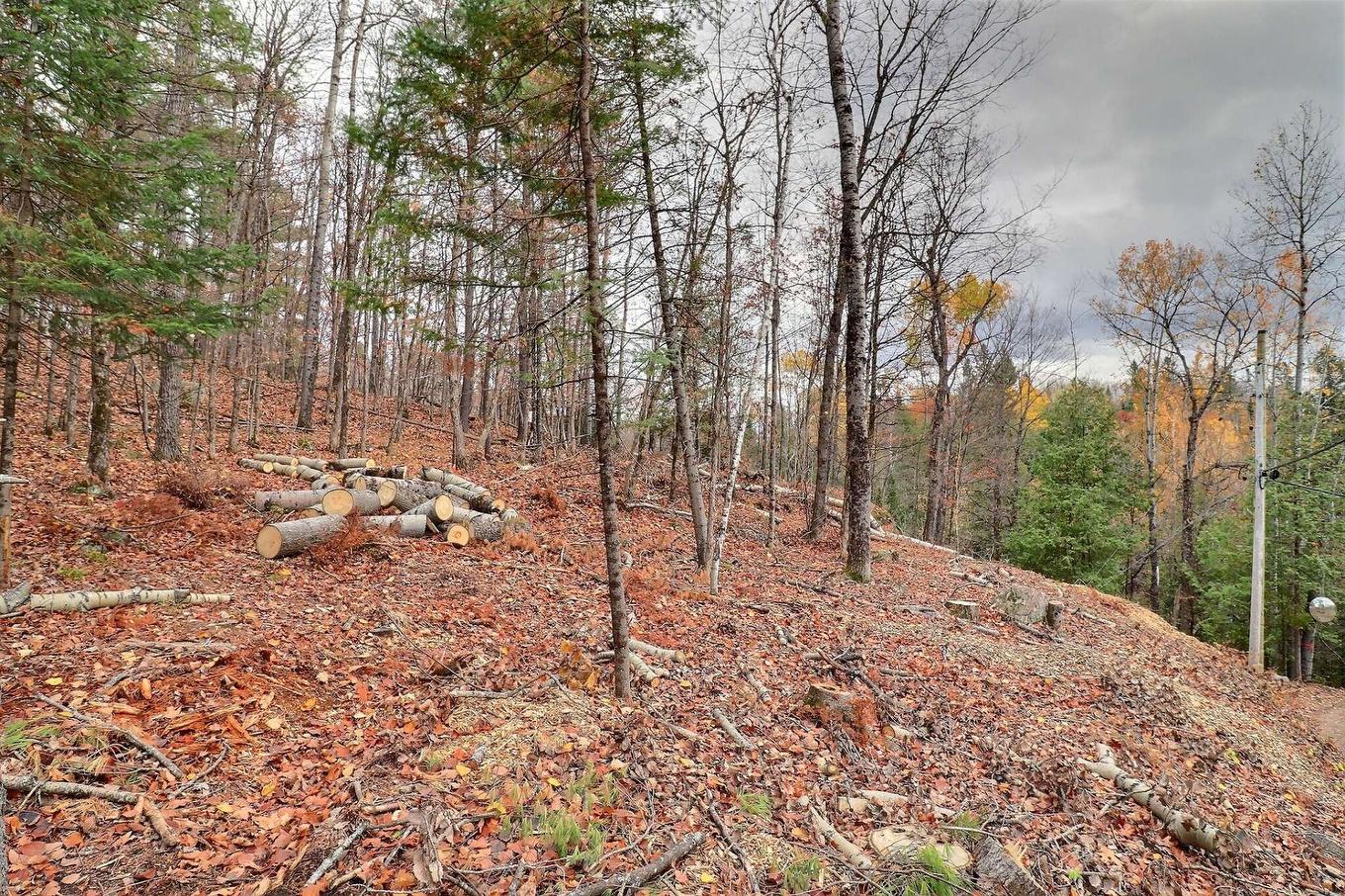 Land/Lot - 30 Ch. J1A, La Pêche, QC