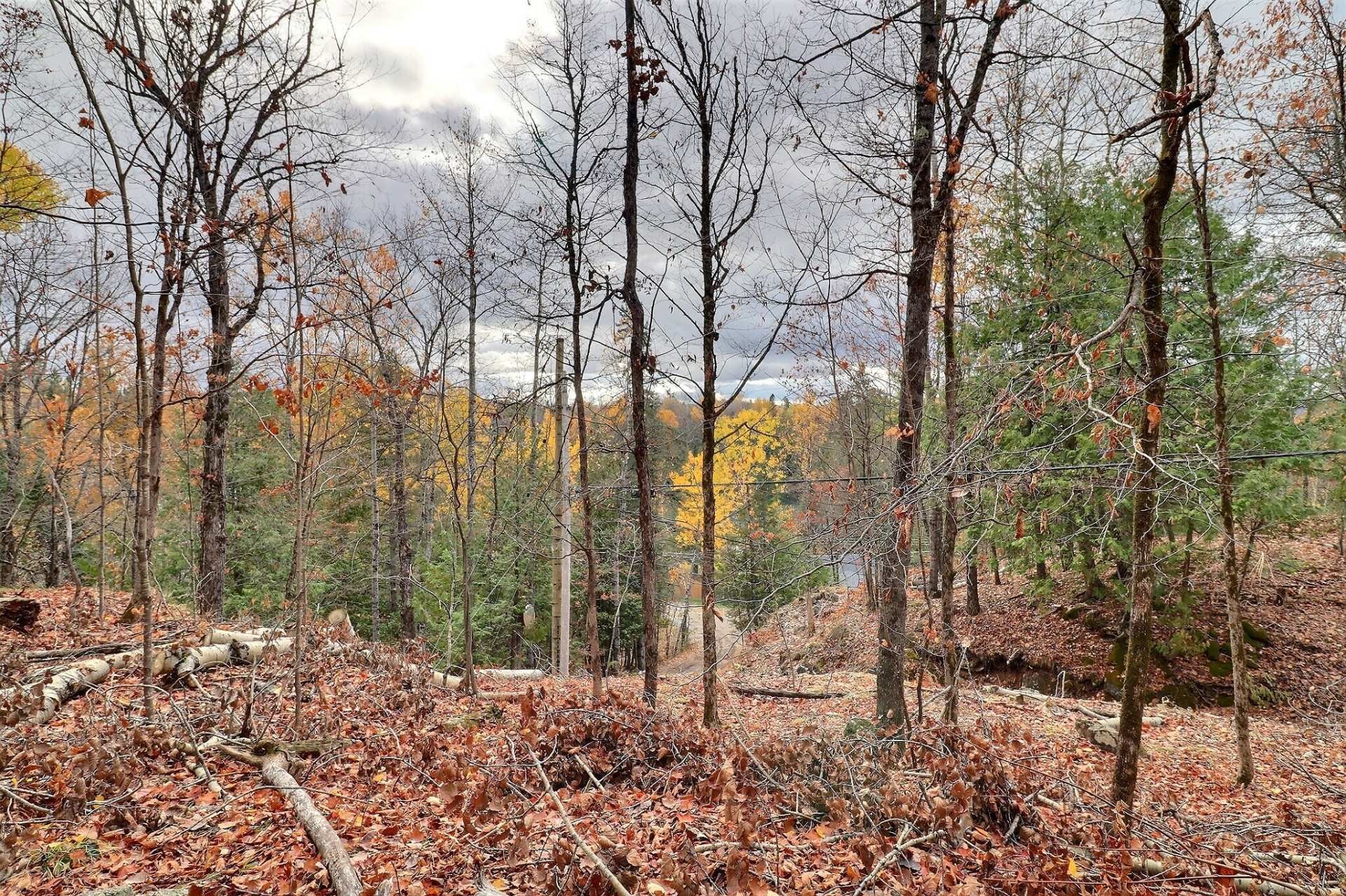 Lot - 30 Ch. J1A, La Pêche, QC