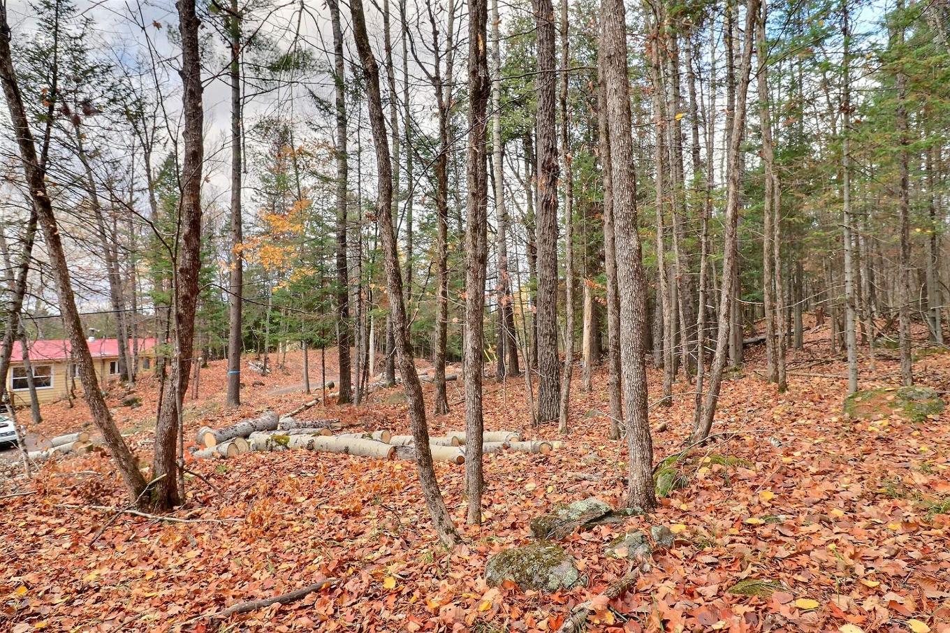 Land/Lot - 30 Ch. J1A, La Pêche, QC