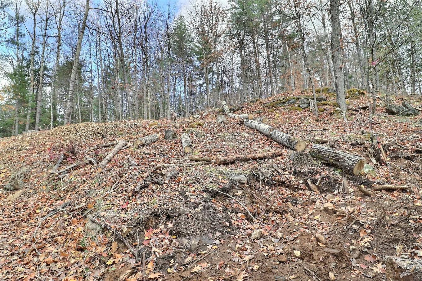 Land/Lot - 30 Ch. J1A, La Pêche, QC