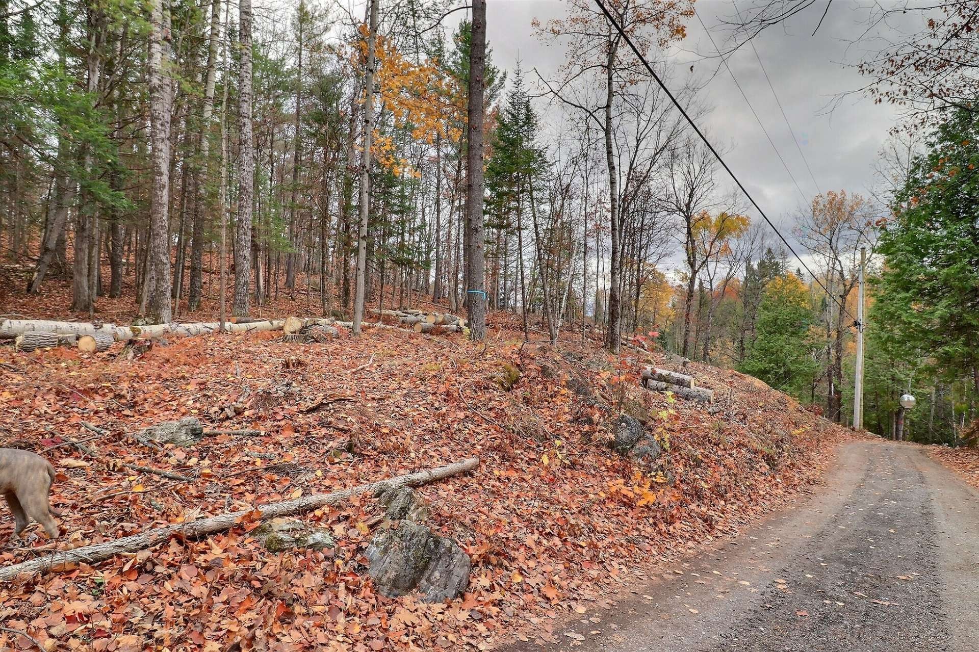 Lot - 30 Ch. J1A, La Pêche, QC