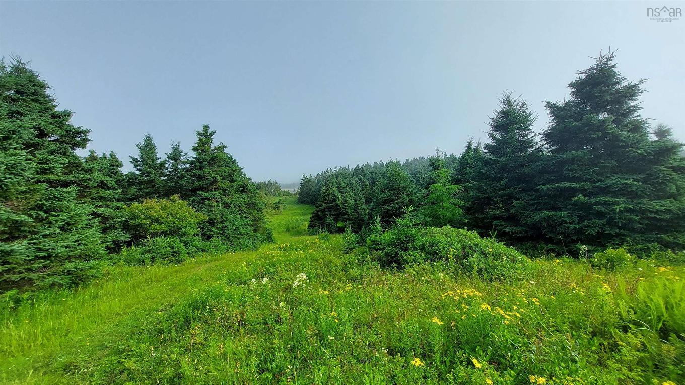 26 Acre 247 Highway, L'Ardoise, NS