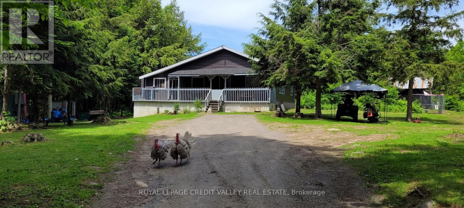 246 Hickey Trail, Hastings Highlands, ON - Outdoor