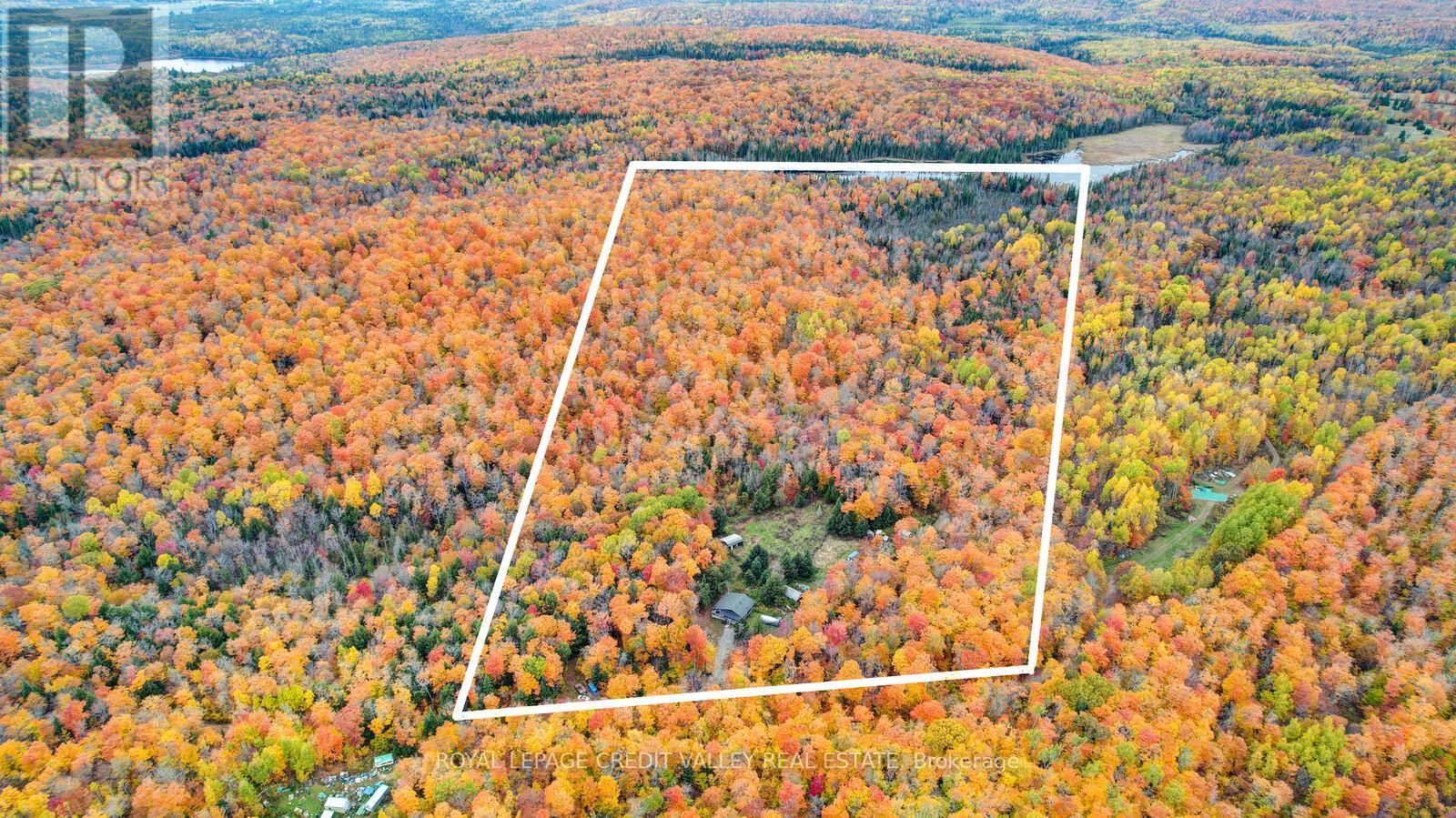 246 Hickey Trail, Hastings Highlands, ON - Outdoor With View