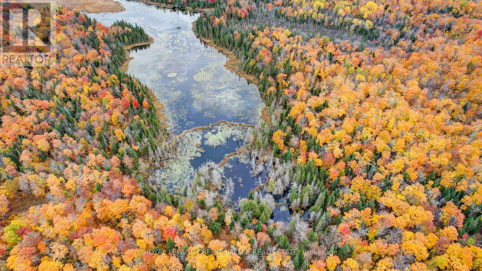 246 Hickey Trail, Hastings Highlands, ON - Outdoor With View