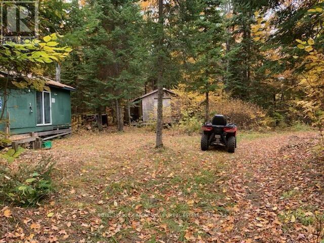 Sleeping Cabin - 246 Hickey Trail, Hastings Highlands, ON - Outdoor