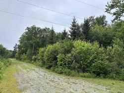15 Lot 15 Aden Lane Big Pond Centre, NS B0A 1H0
