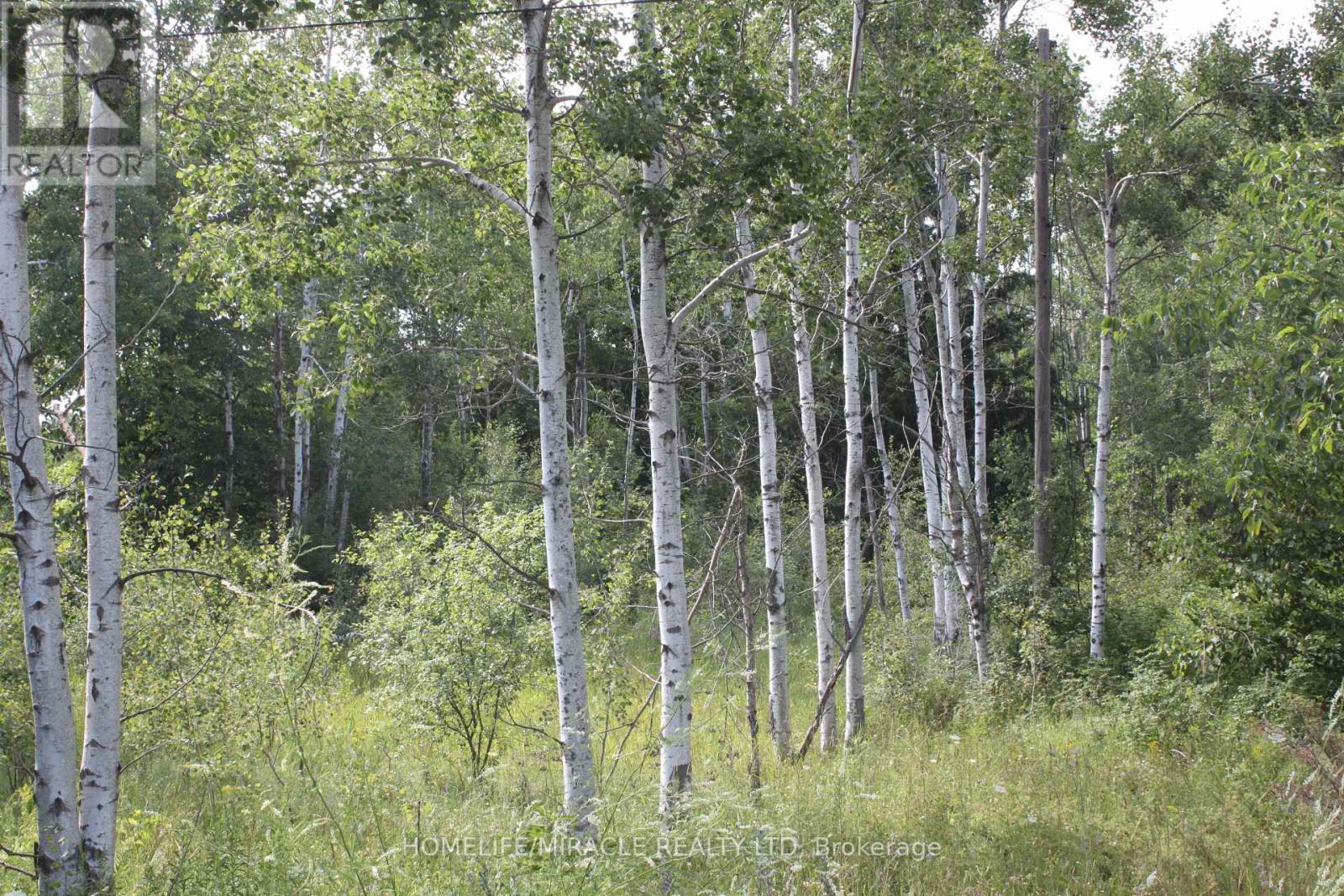 380 Highway 15, Rideau Lakes, ON