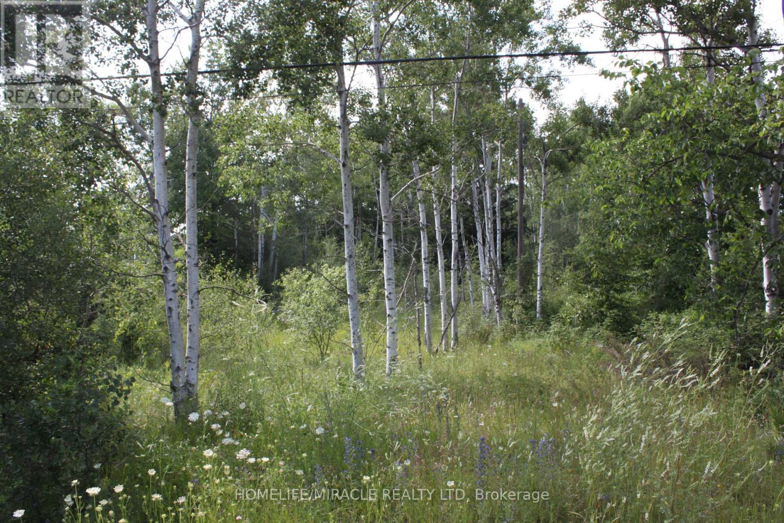 380 Highway 15, Rideau Lakes, ON