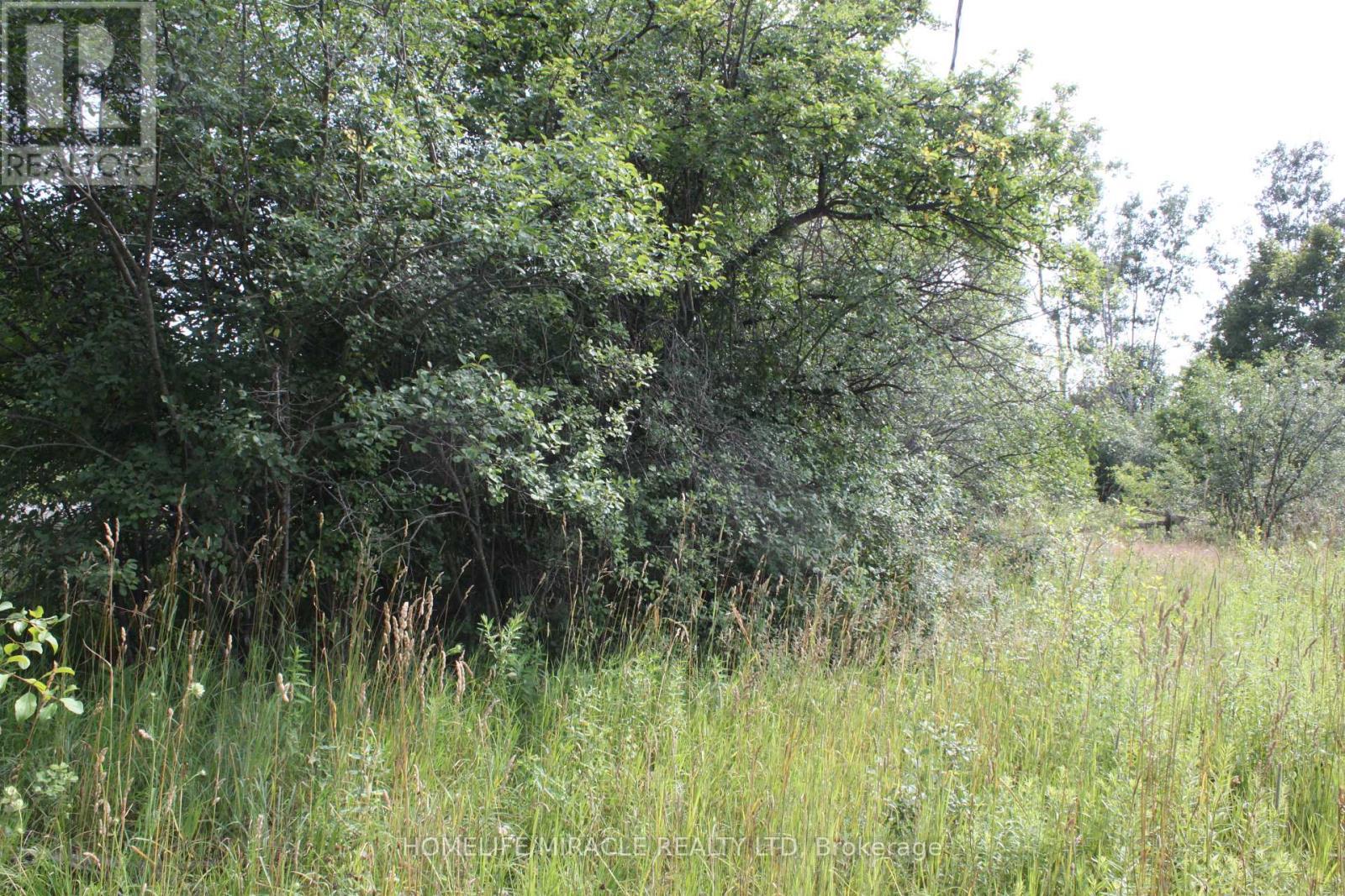 376 Highway 15, Rideau Lakes, ON