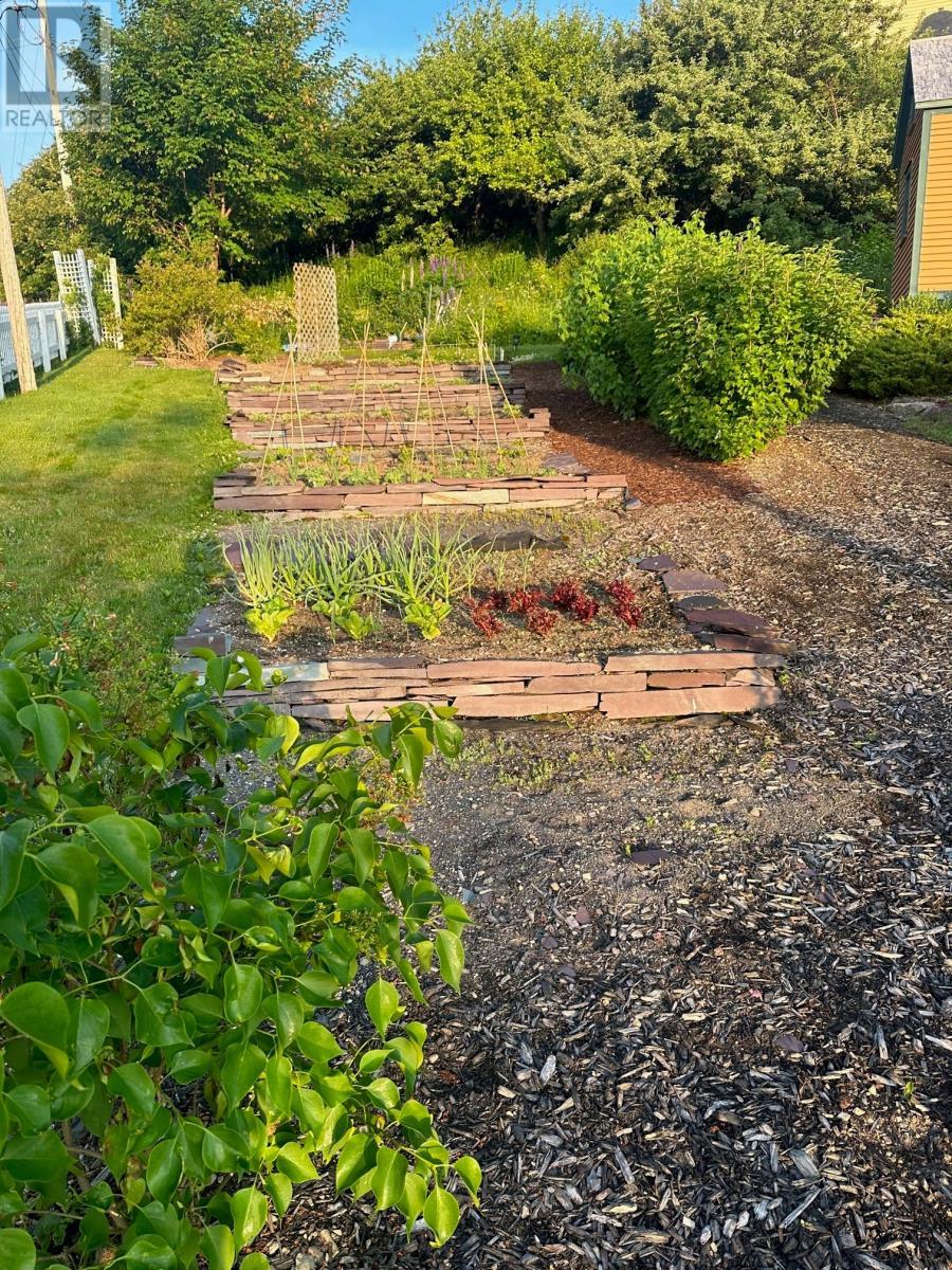 19 West Street, Trinity, NL - Outdoor