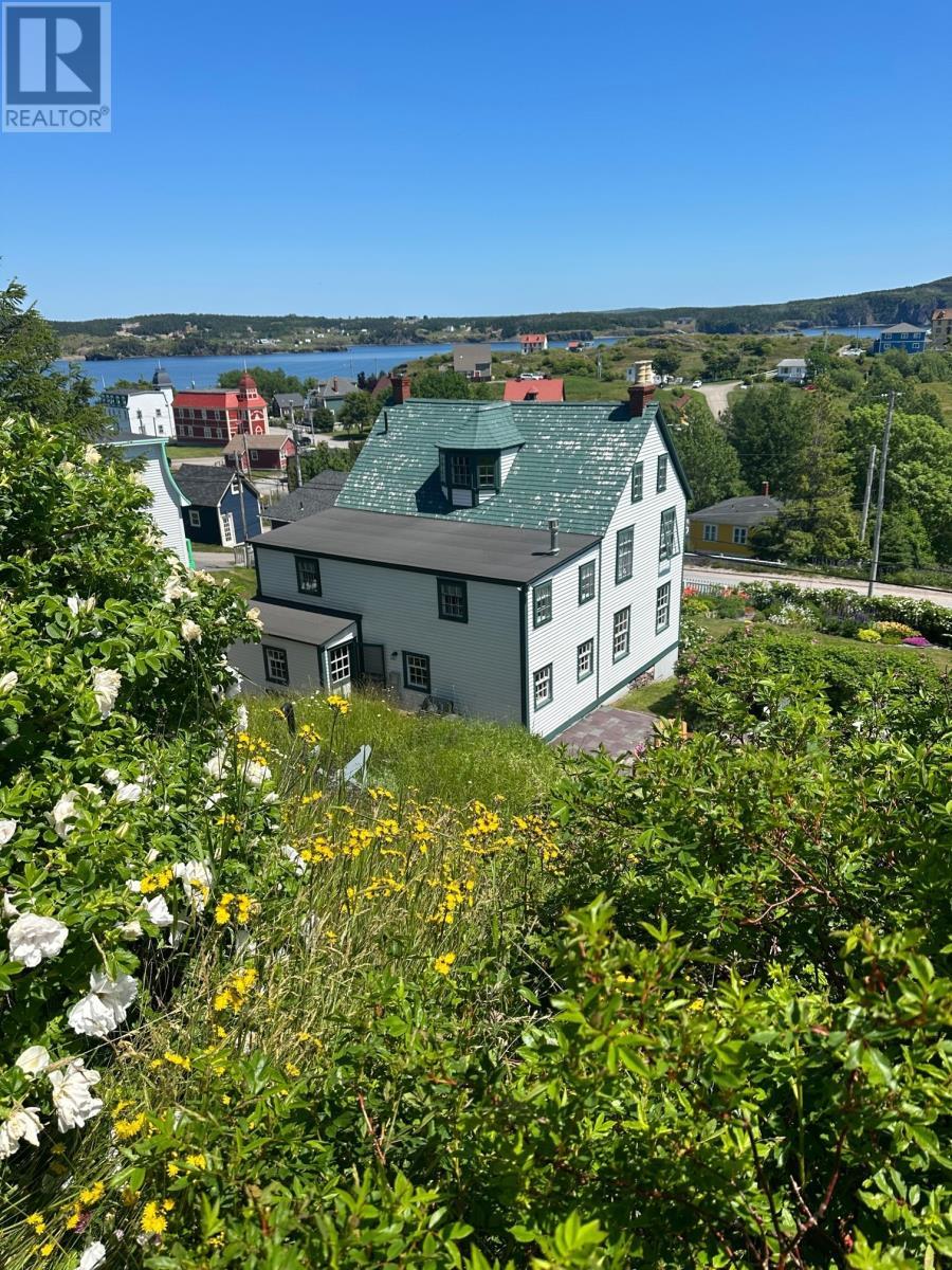19 West Street, Trinity, NL - Outdoor