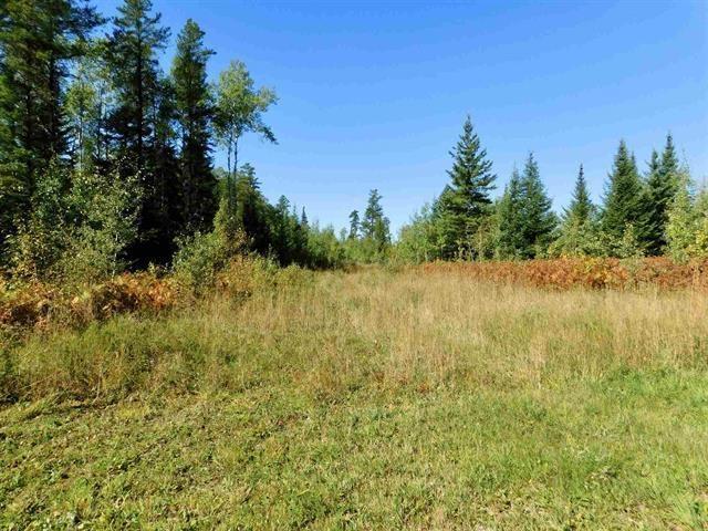 0 Chavall Road, Machin, ON