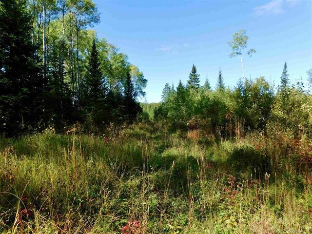 0 Chavall Road, Machin, ON