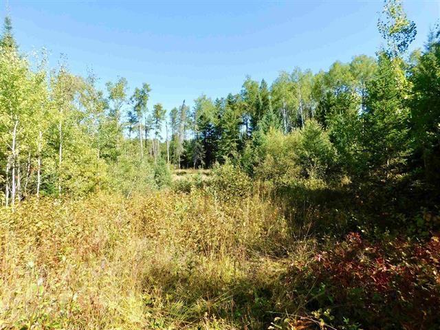 0 Chavall Road, Machin, ON