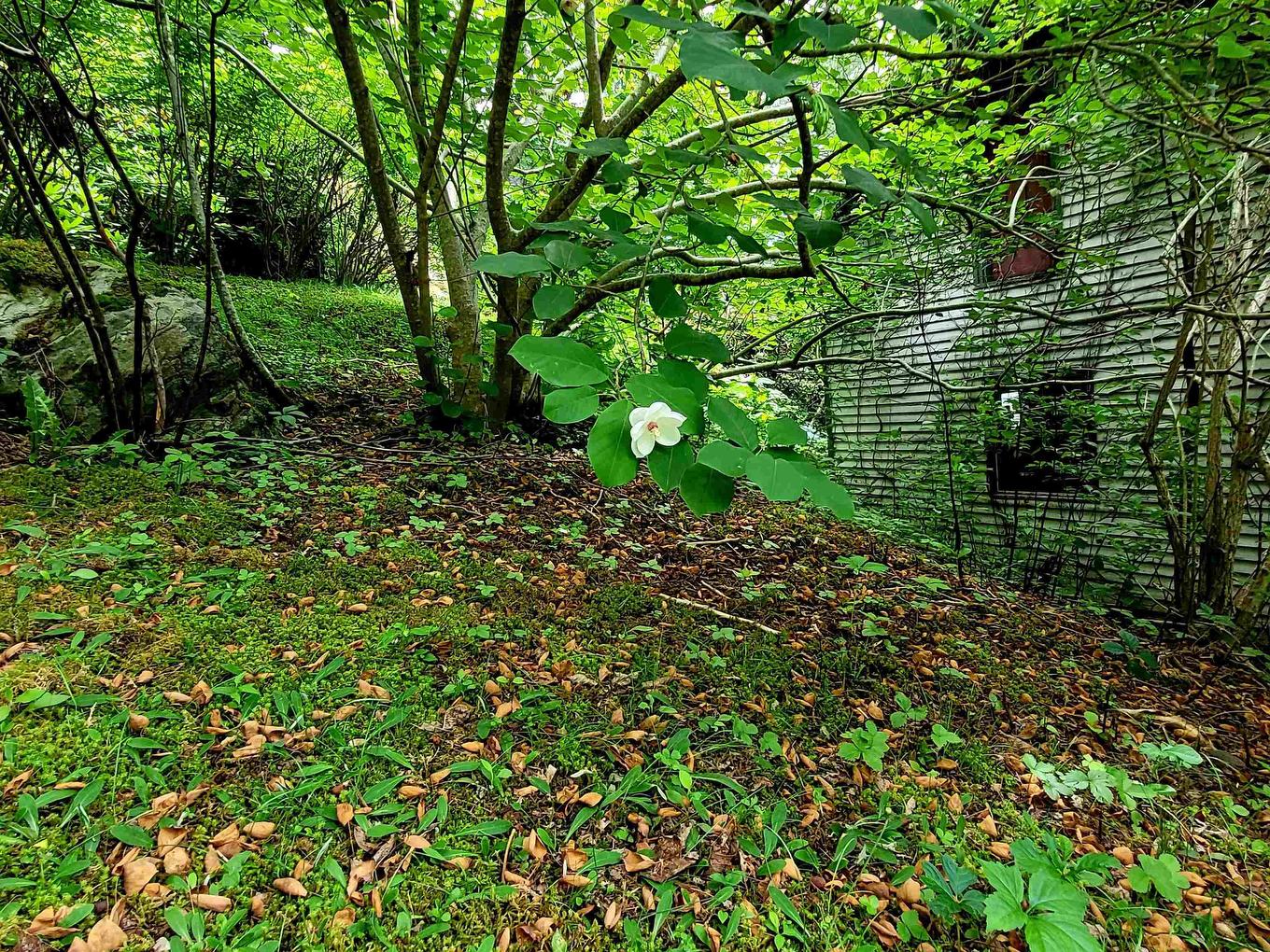 221 Highway 8, Milton, NS