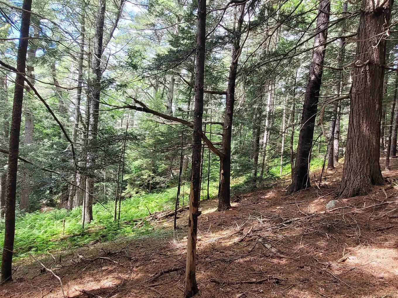 221 Highway 8, Milton, NS