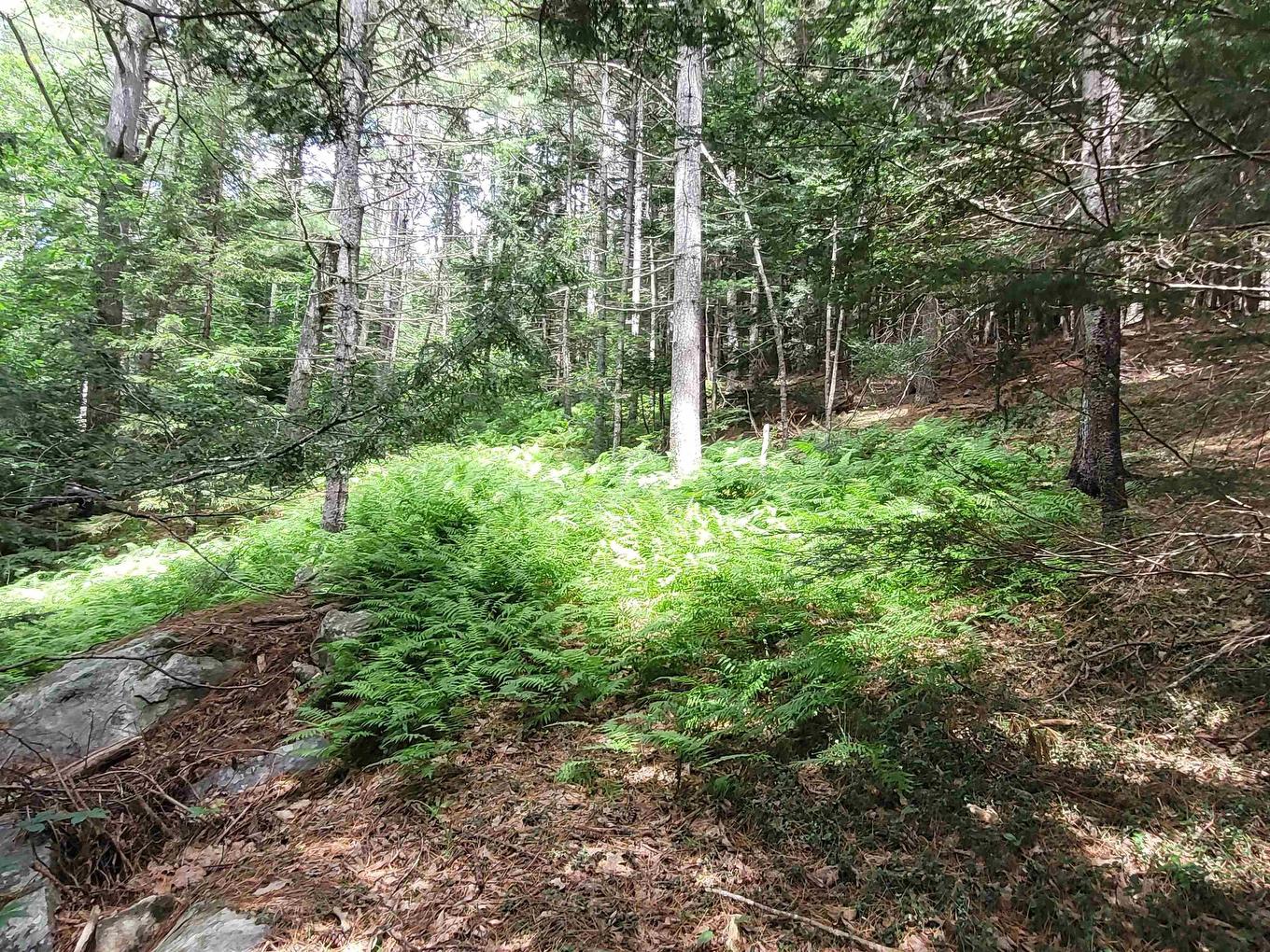 221 Highway 8, Milton, NS