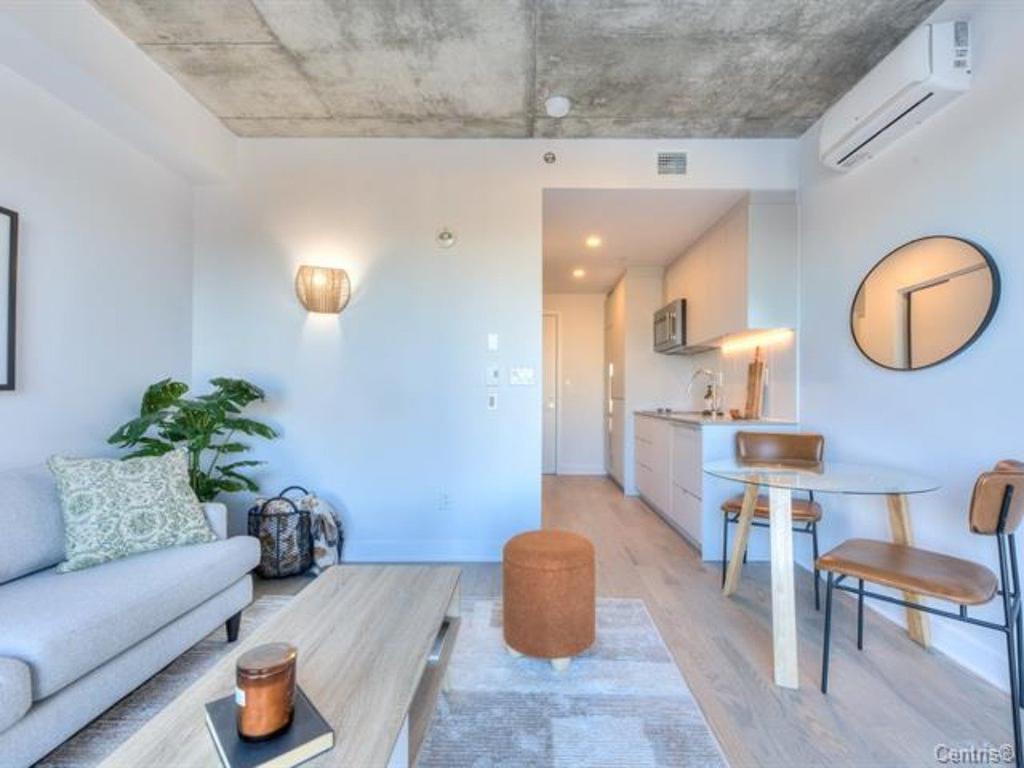 Salon - 401-2660 Rue Ontario E., Montréal (Ville-Marie), QC - Indoor Photo Showing Living Room