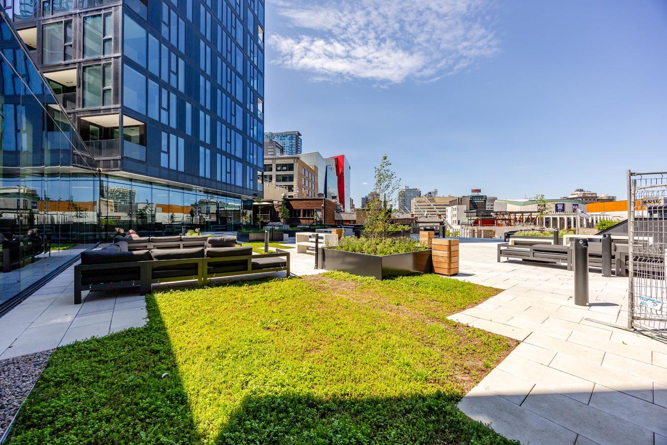 Backyard - 3614-1245 Rue De Bleury, Montréal (Ville-Marie), QC - Outdoor