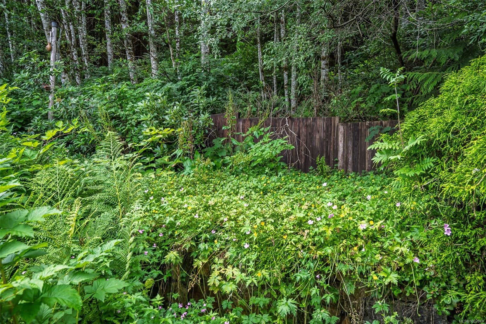 540 Macmillan Dr, Sayward, BC