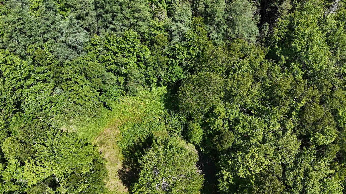 2011 Whiteside Road, Whiteside, NS