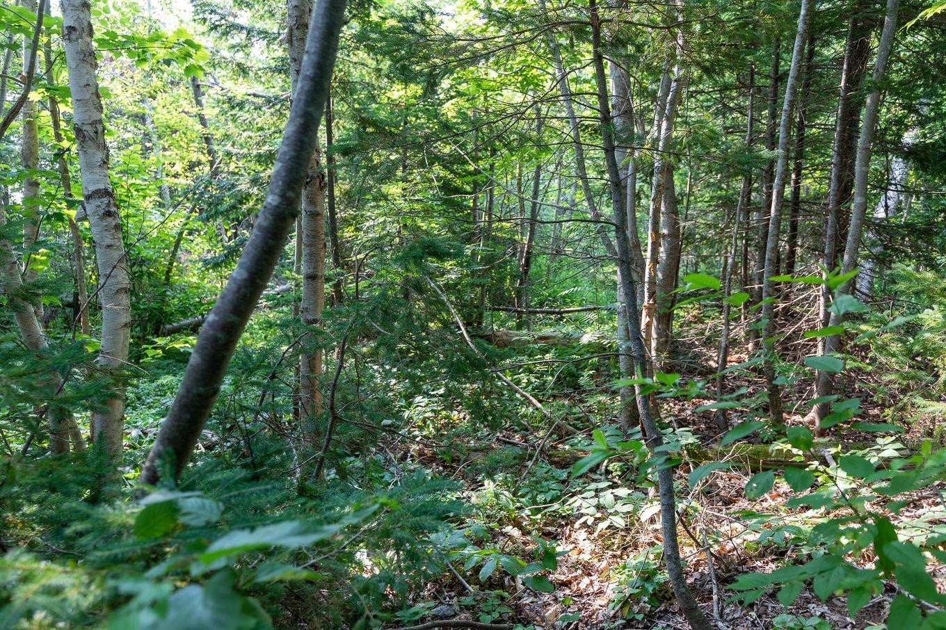 Lot Souris Line Road, Souris, PE