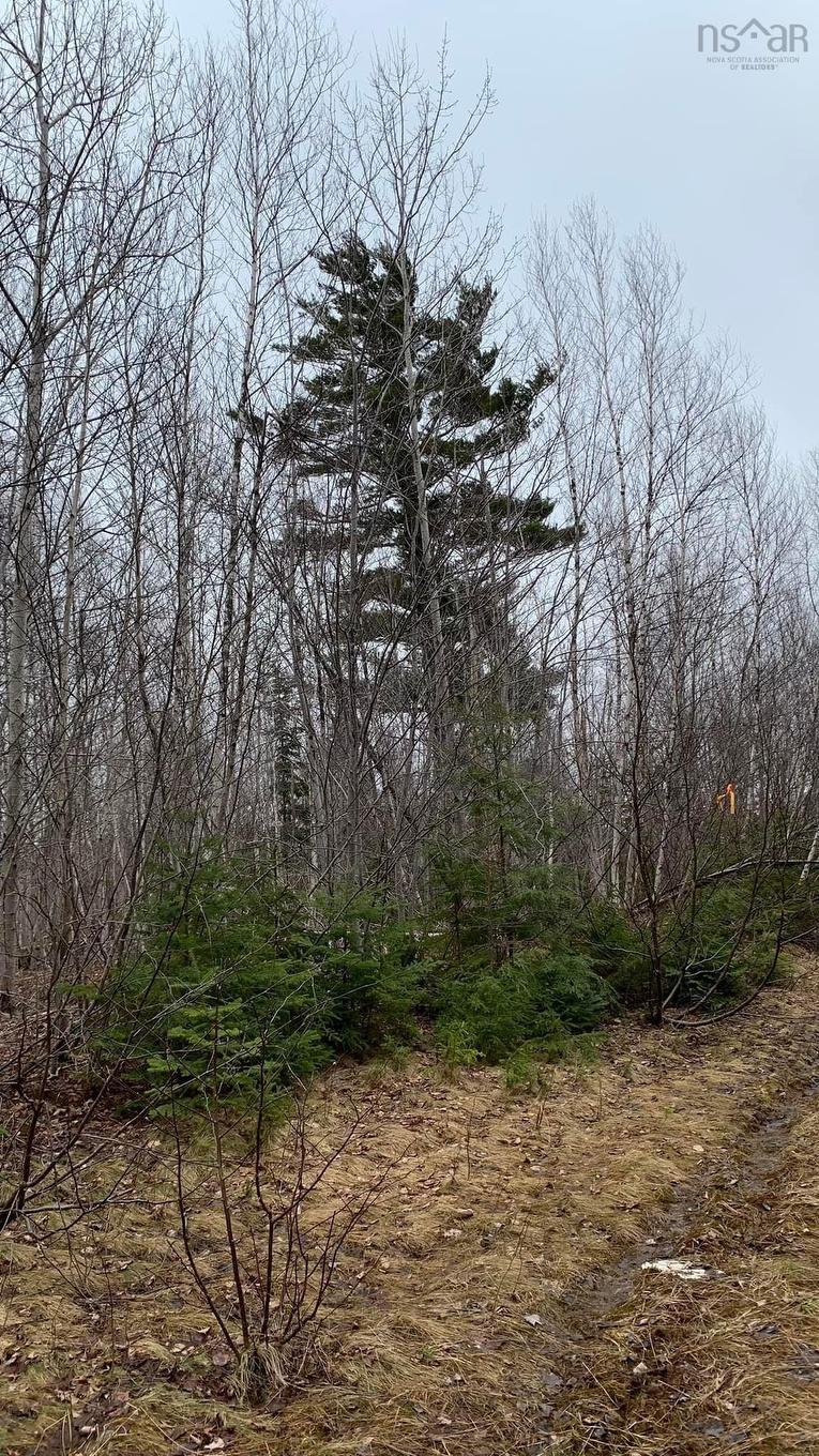 Lot 24-4 Little Harbour Road, Frasers Mountain, NS