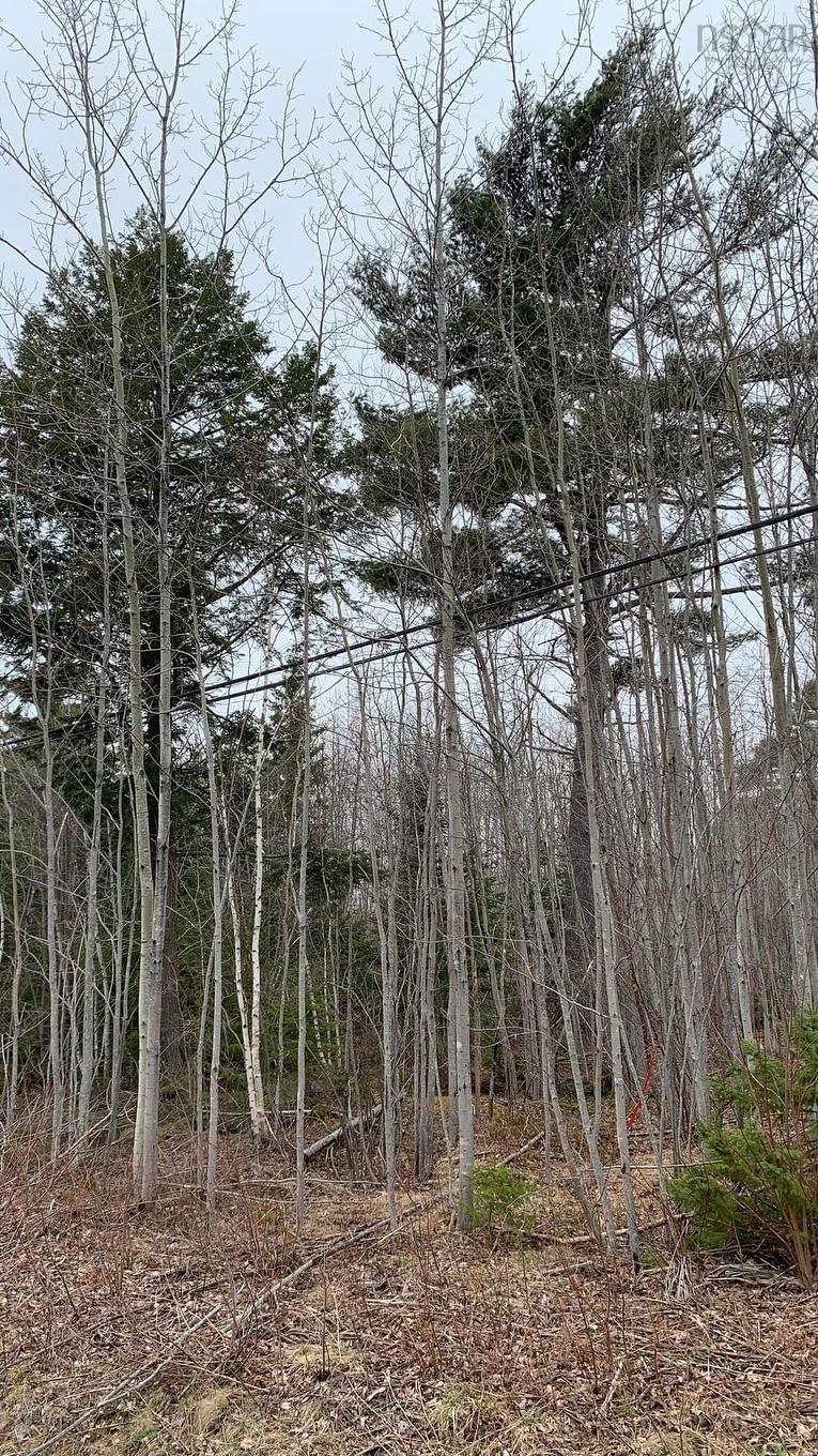 Lot 24-3 Little Harbour Road, Frasers Mountain, NS