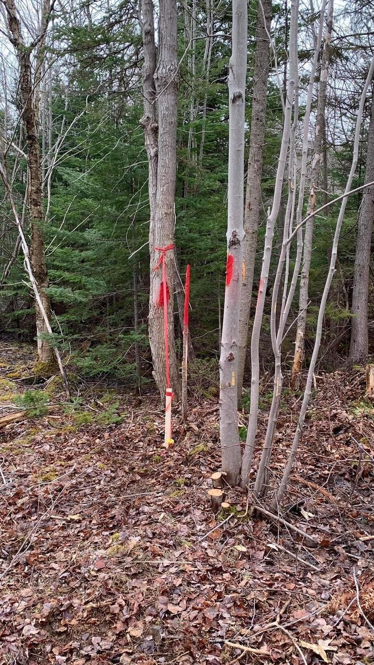 Lot 24-3 Little Harbour Road, Frasers Mountain, NS