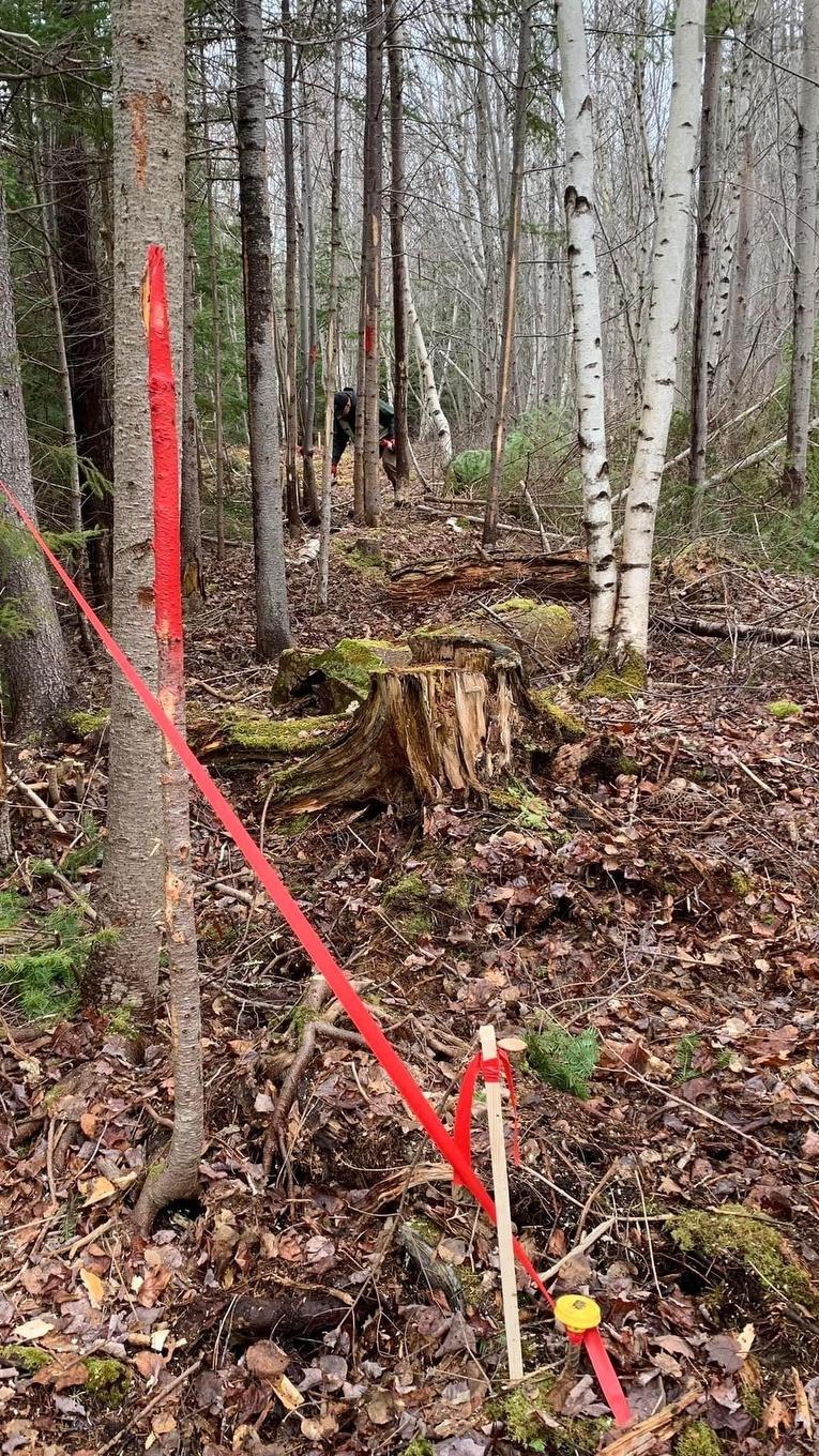 Lot 24-3 Little Harbour Road, Frasers Mountain, NS