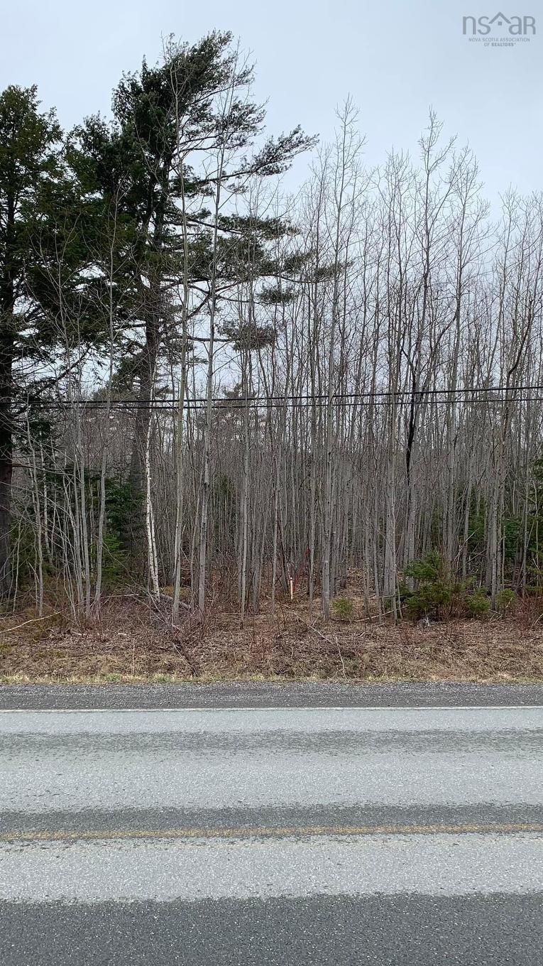 Lot 24-3 Little Harbour Road, Frasers Mountain, NS