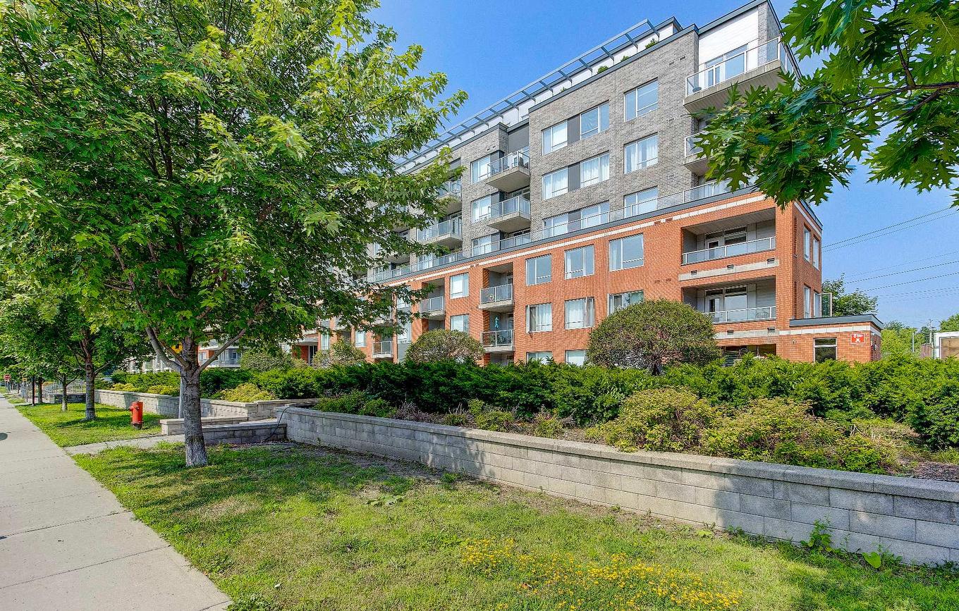 Cour - 312-100 Rue Cartier, Saint-Lambert, QC - Outdoor