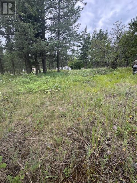 Lot 53 Hirtz Street, Elko, BC