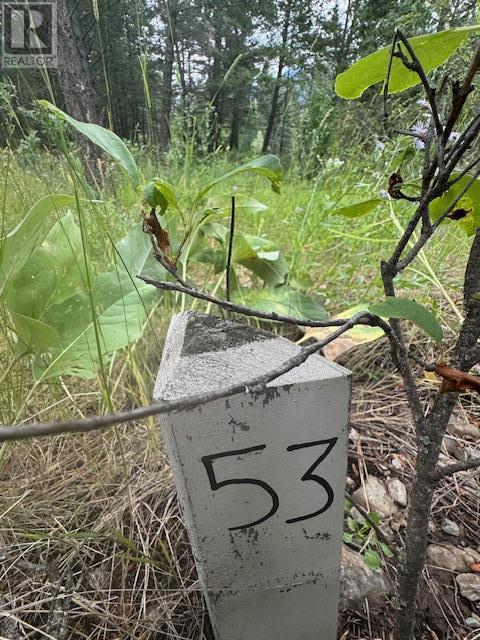 Lot 53 Hirtz Street, Elko, BC