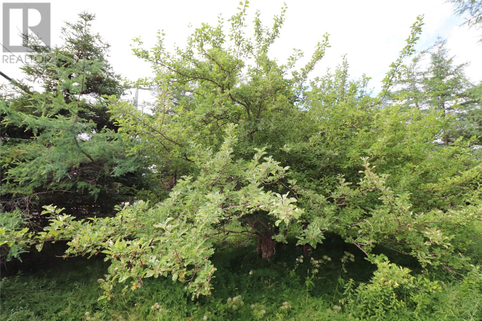 190 Conception Bay Highway, Holyrood, NL