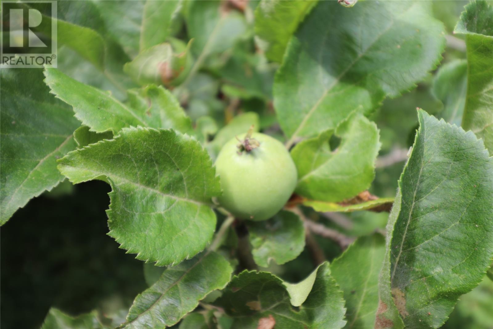 190 Conception Bay Highway, Holyrood, NL