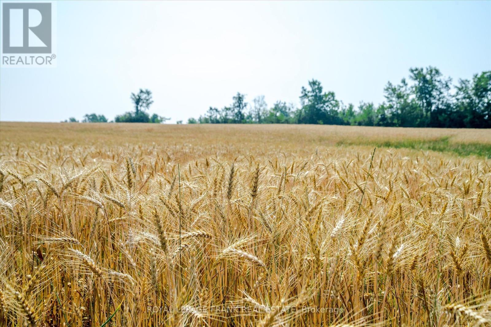 1060 Centre Line, Selwyn, ON