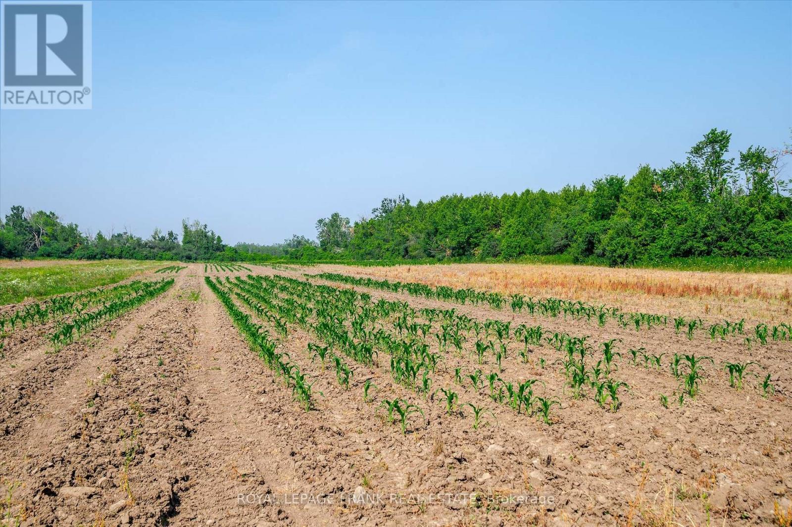 1060 Centre Line, Selwyn, ON